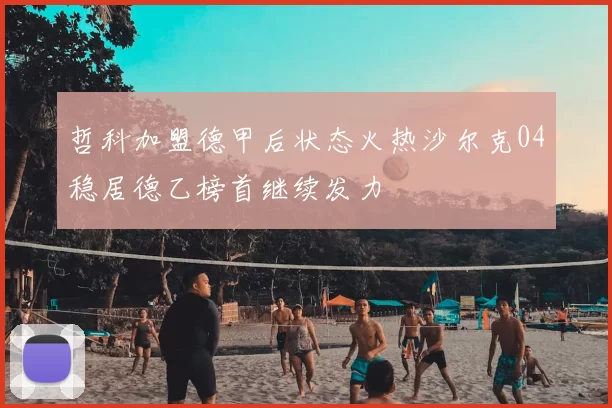 哲科加盟德甲后状态火热沙尔克04稳居德乙榜首继续发力