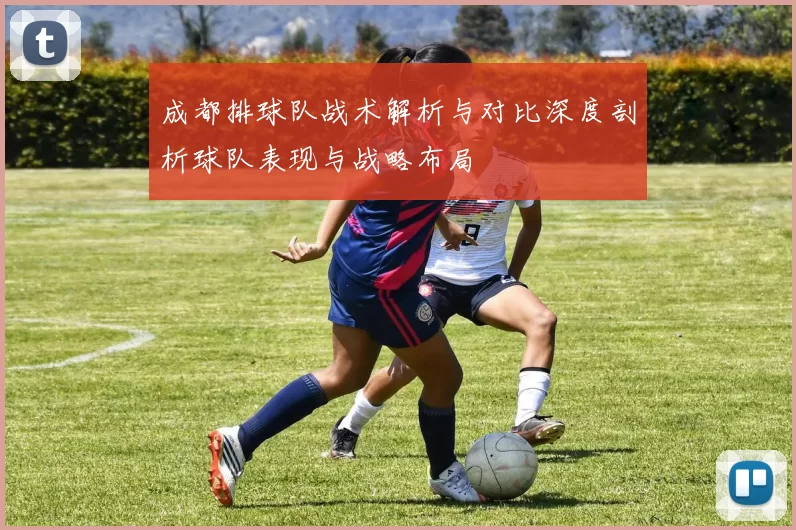 成都排球队战术解析与对比深度剖析球队表现与战略布局