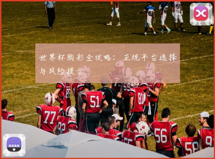 世界杯购彩全攻略：正规平台选择与风险提示