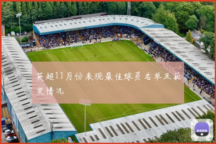 英超11月份表现最佳球员名单及获奖情况