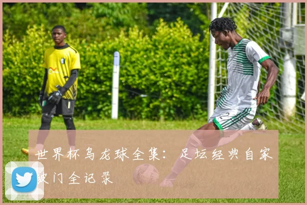 世界杯乌龙球全集：足坛经典自家破门全记录