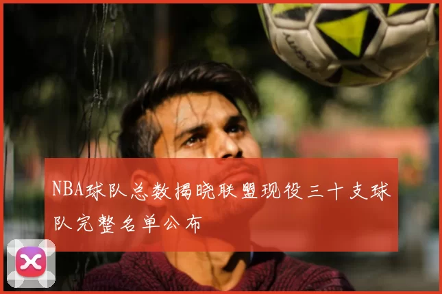 NBA球队总数揭晓联盟现役三十支球队完整名单公布