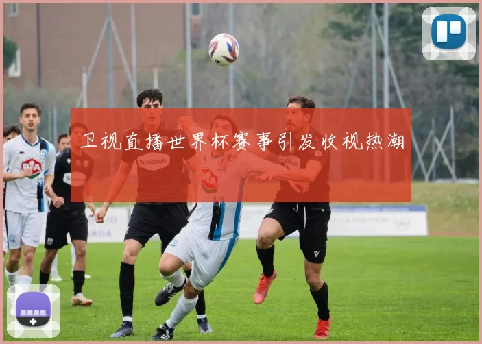 卫视直播世界杯赛事引发收视热潮