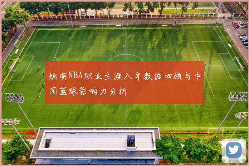 姚明NBA职业生涯八年数据回顾与中国篮球影响力分析