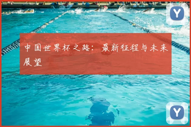 中国世界杯之路：最新征程与未来展望