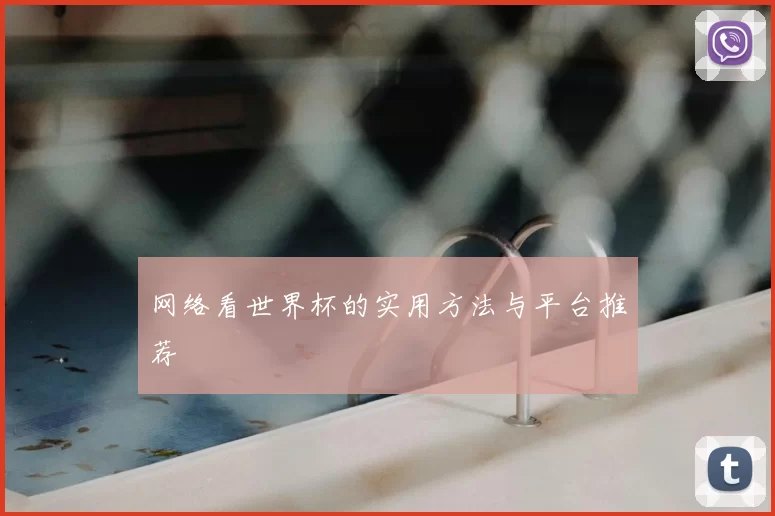网络看世界杯的实用方法与平台推荐