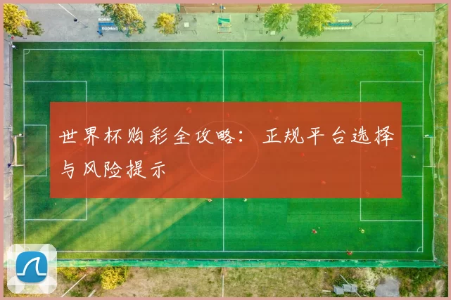 世界杯购彩全攻略：正规平台选择与风险提示
