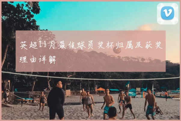 英超11月最佳球员奖杯归属及获奖理由详解
