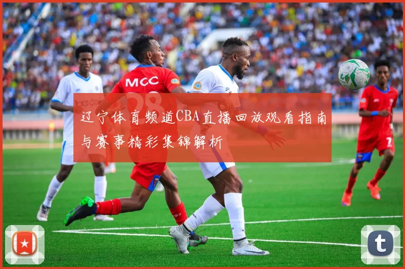辽宁体育频道CBA直播回放观看指南与赛事精彩集锦解析