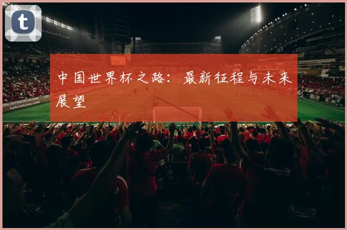 中国世界杯之路:最新征程与未来展望