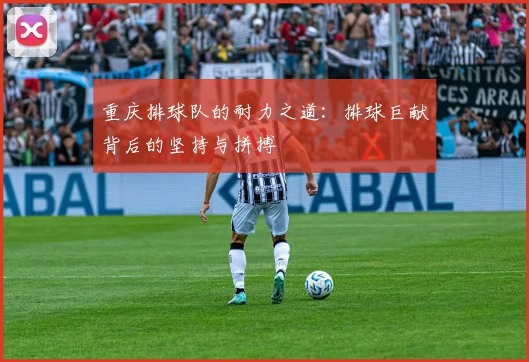 重庆排球队的耐力之道：排球巨献背后的坚持与拼搏