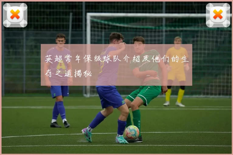 英超常年保级球队介绍及他们的生存之道揭秘