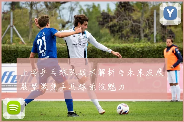上海乒乓球队战术解析与未来发展展望聚焦乒乓球竞技魅力