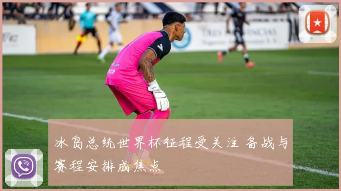 冰岛总统世界杯征程受关注 备战与赛程安排成焦点