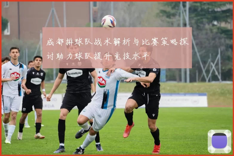 成都排球队战术解析与比赛策略探讨助力球队提升竞技水平