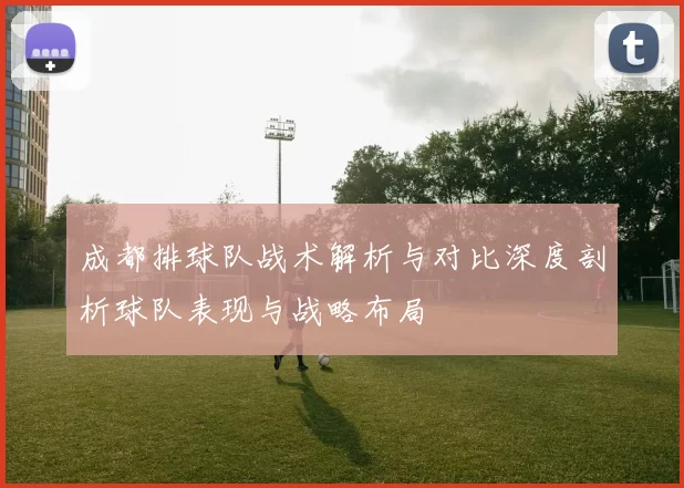 成都排球队战术解析与对比深度剖析球队表现与战略布局