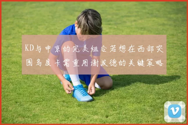 KD与申京的完美组合若想在西部突围乌度卡需重用谢泼德的关键策略