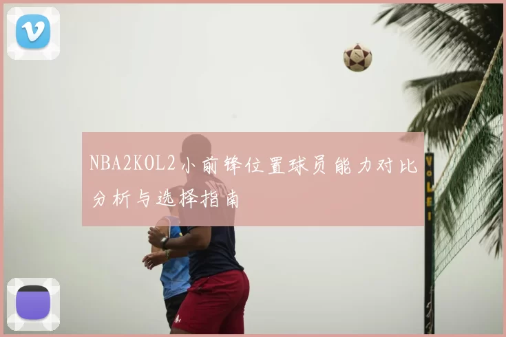 NBA2KOL2小前锋位置球员能力对比分析与选择指南